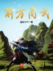 前方高能讲的什么